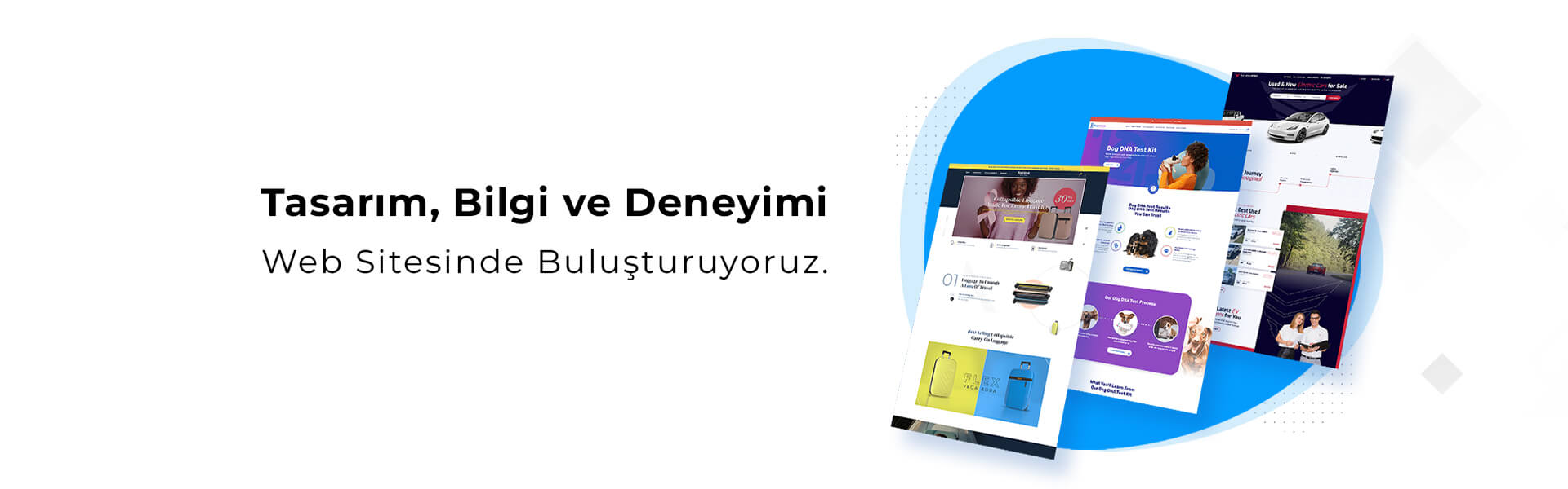 web tasarım örnekleri 1