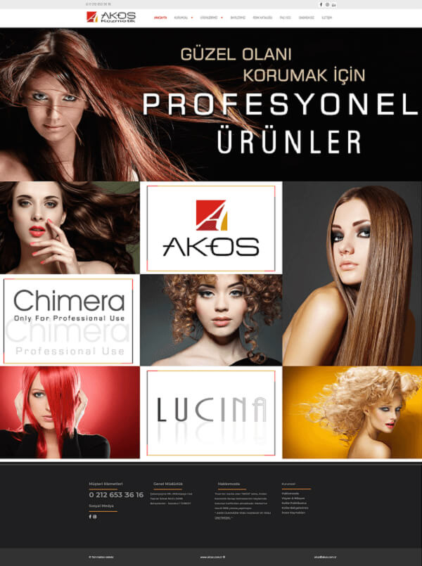 web tasarım örnekleri