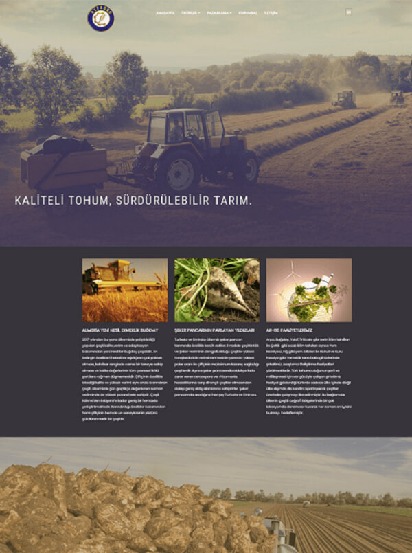 web tasarım resimleri